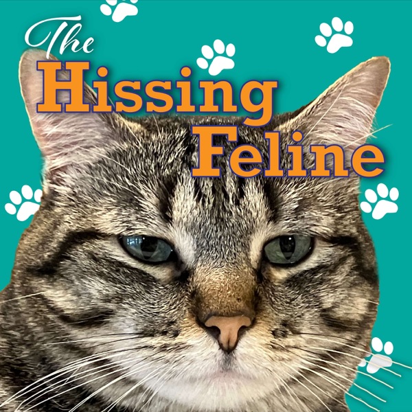 The Hissing Feline