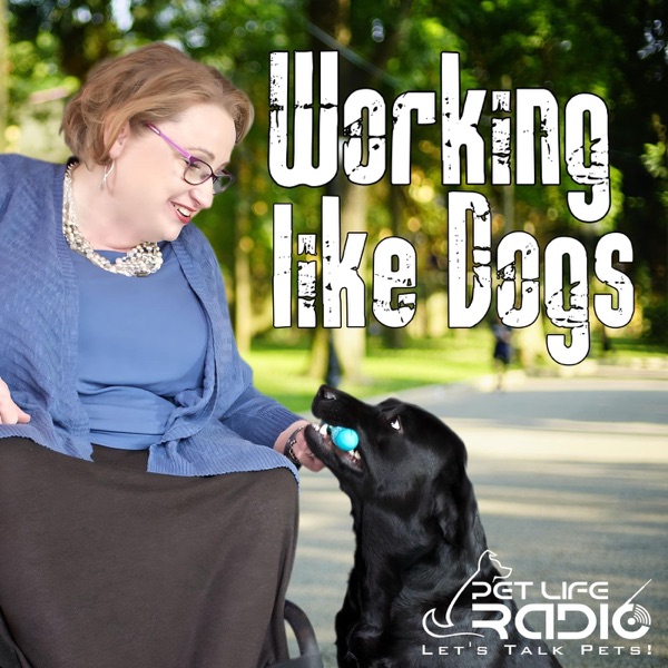 Working Like Dogs
